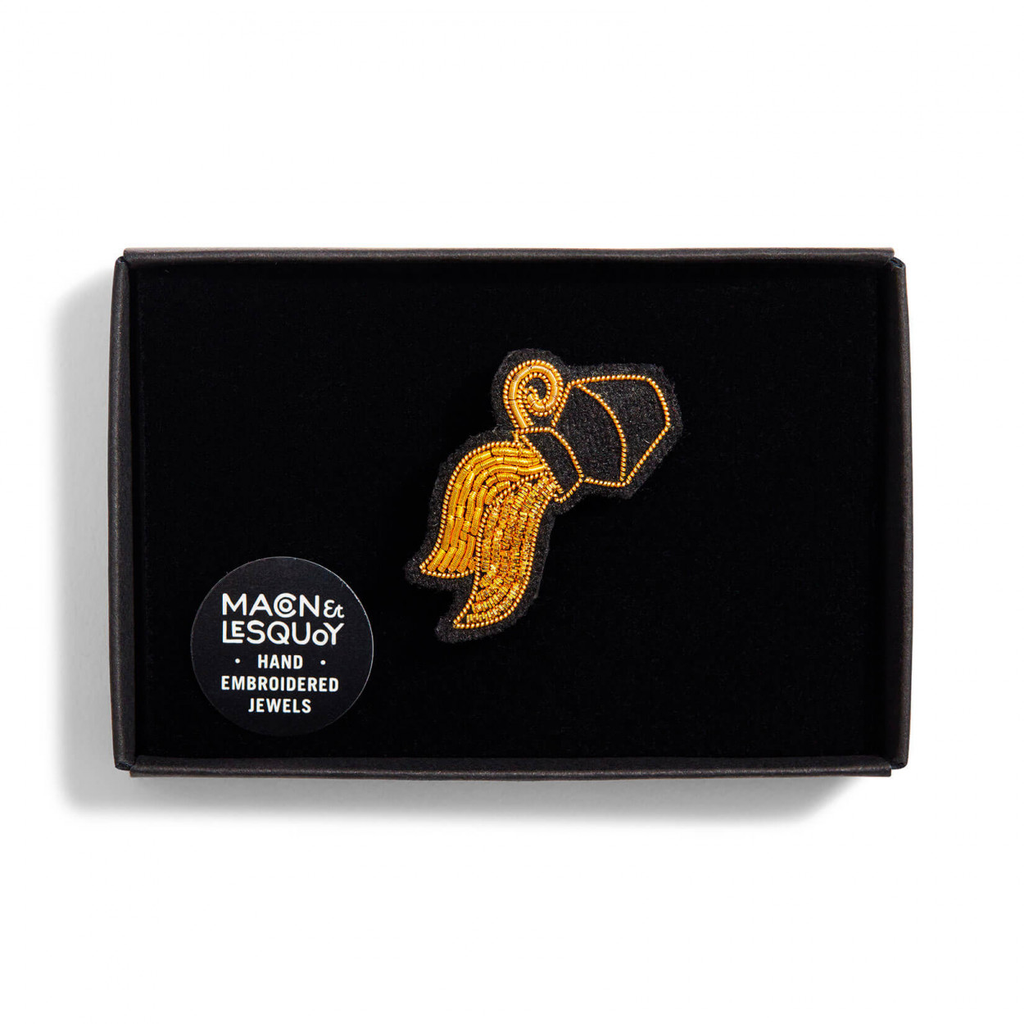 BROCHE ASTRO VERSEAU
